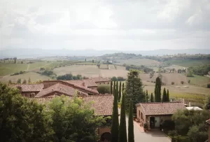 Tall cypress trees line the vineyard landscape at Borgo Tre Rose in Tuscany.