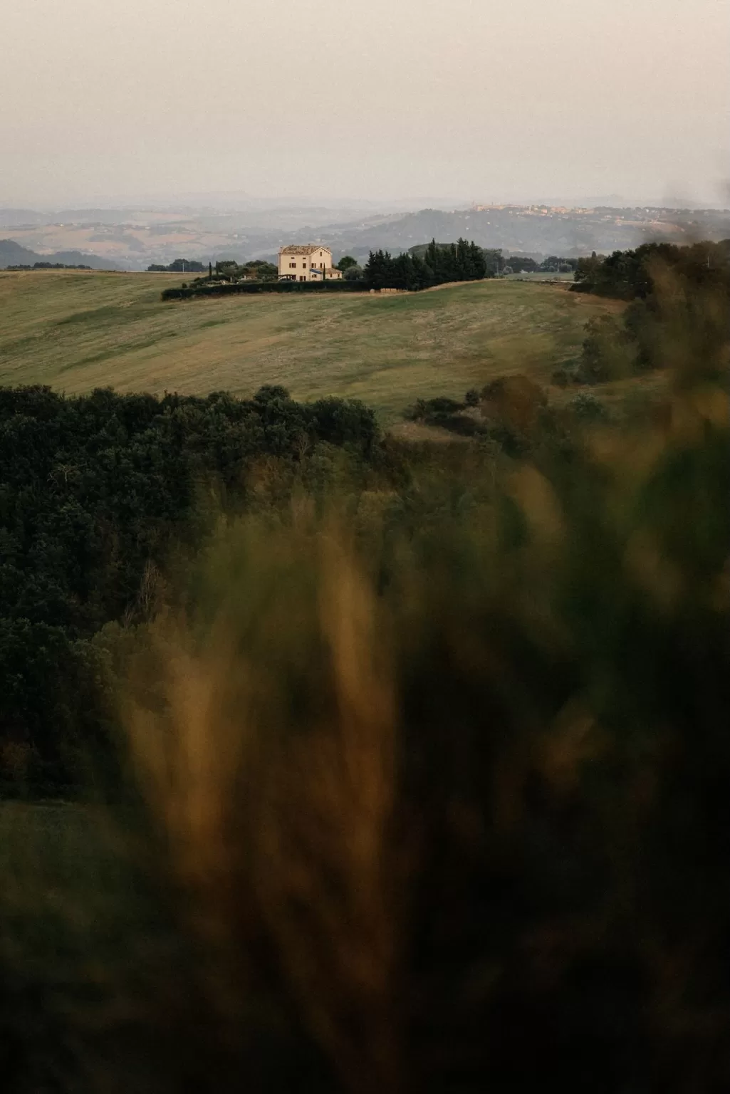 Photo by Vladimir Tsarkov