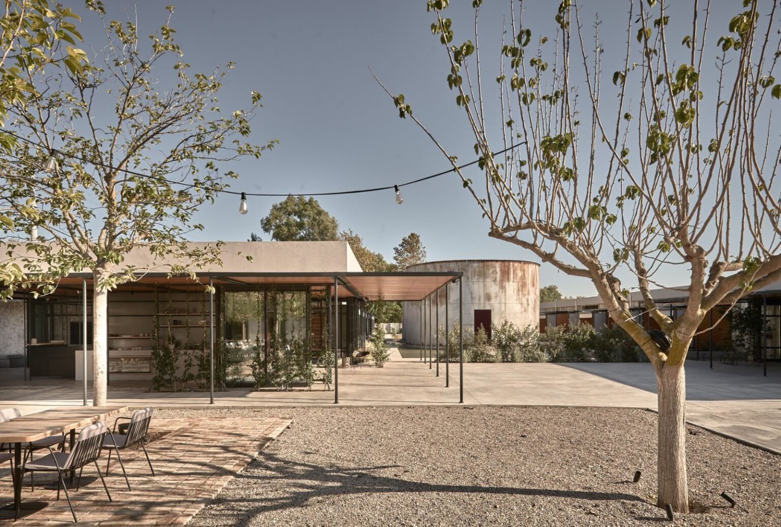 Lush olive groves in the surrounding areas of Dexamenes Seaside Hotel in Greece, offering a peaceful natural setting.