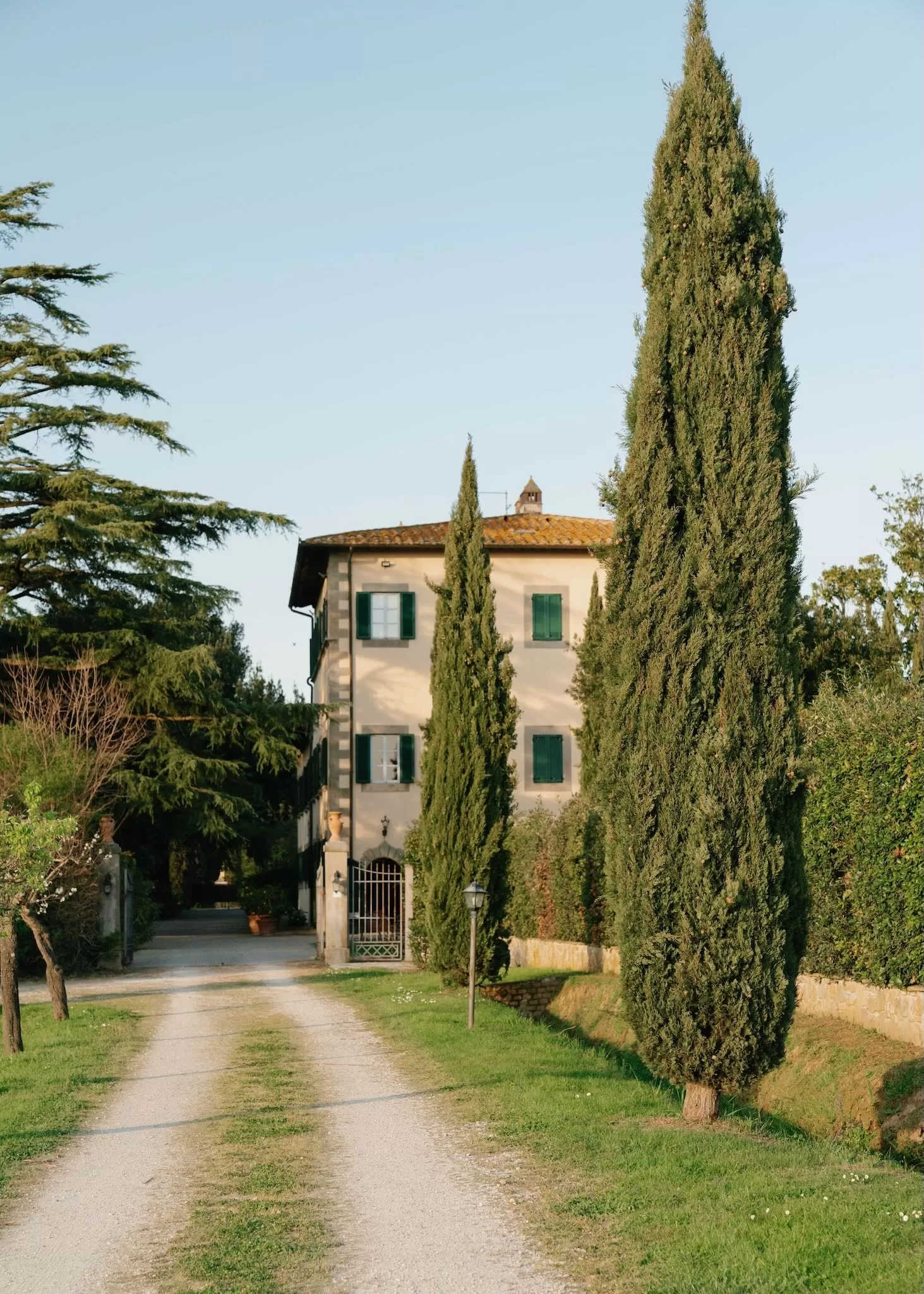 Gravel driveway lined with cypress trees leading to the elegant façade of Villa Ivana Cortona.