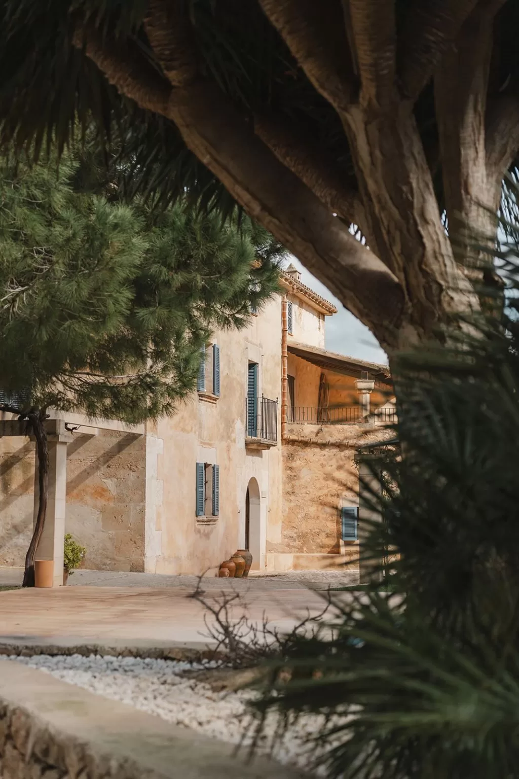 View of Finca Son Sampol through lush garden trees and foliage.