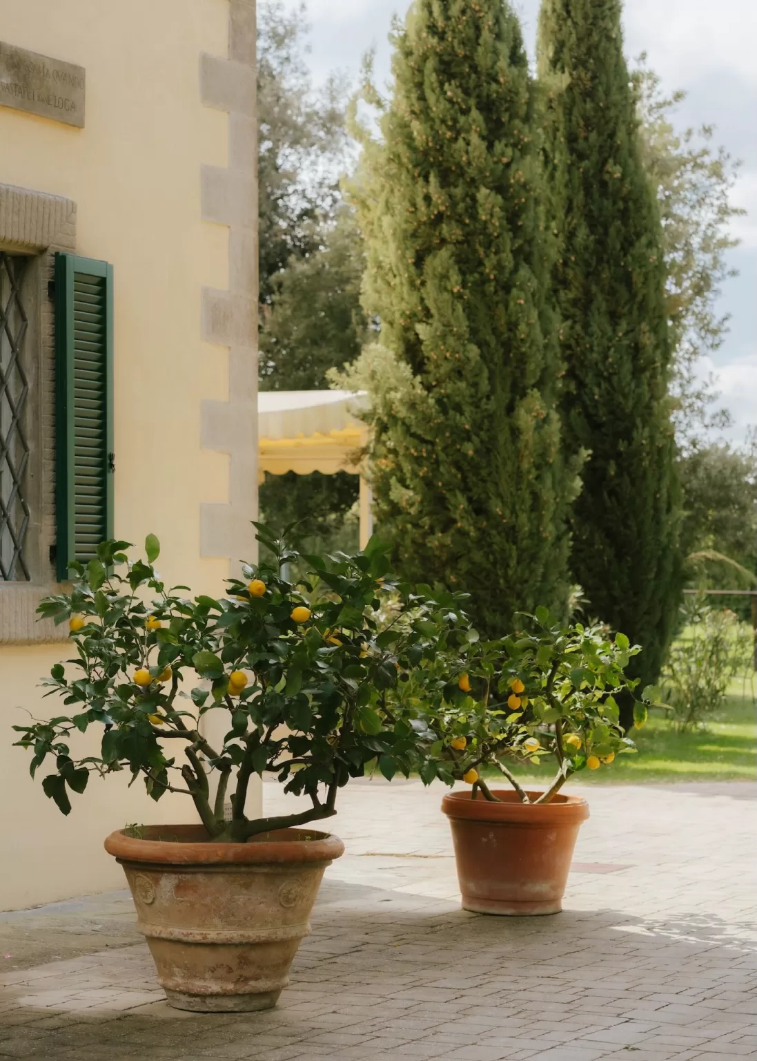 Photo by Patricia Fironi