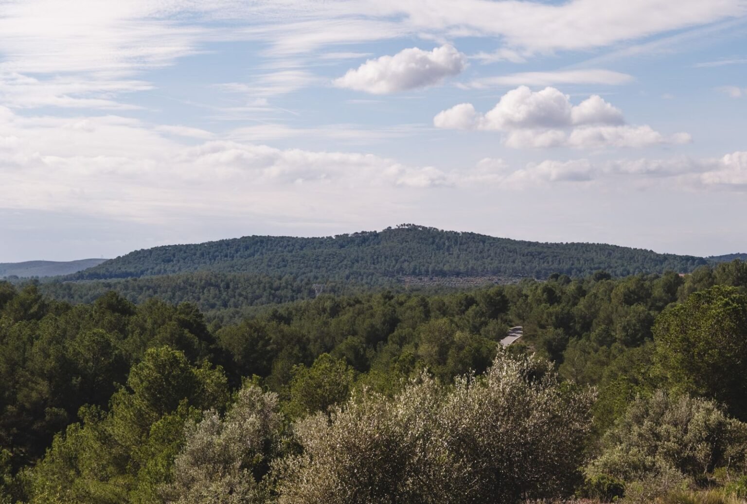 Scenic view of lush forests and rolling hills surrounding Masia Cabellut, capturing the serene and peaceful atmosphere.