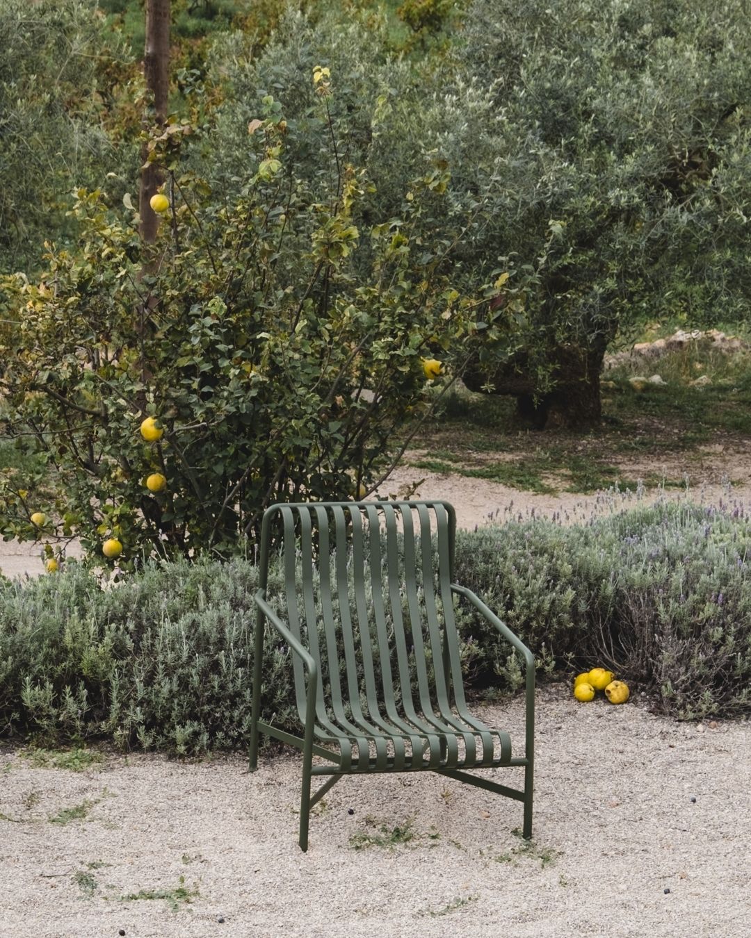 Stylish green garden chair placed near lemon trees in Masia Cabellut's tranquil outdoor setting.