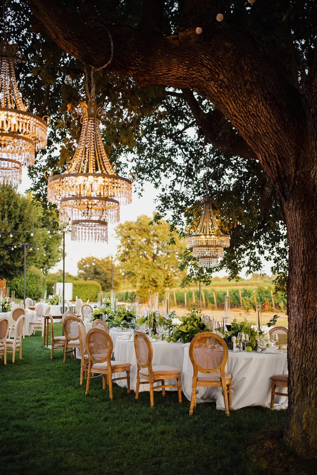 Crystal chandeliers hanging from oak trees at an alfresco wedding reception at Meneghetti Wine Hotel.