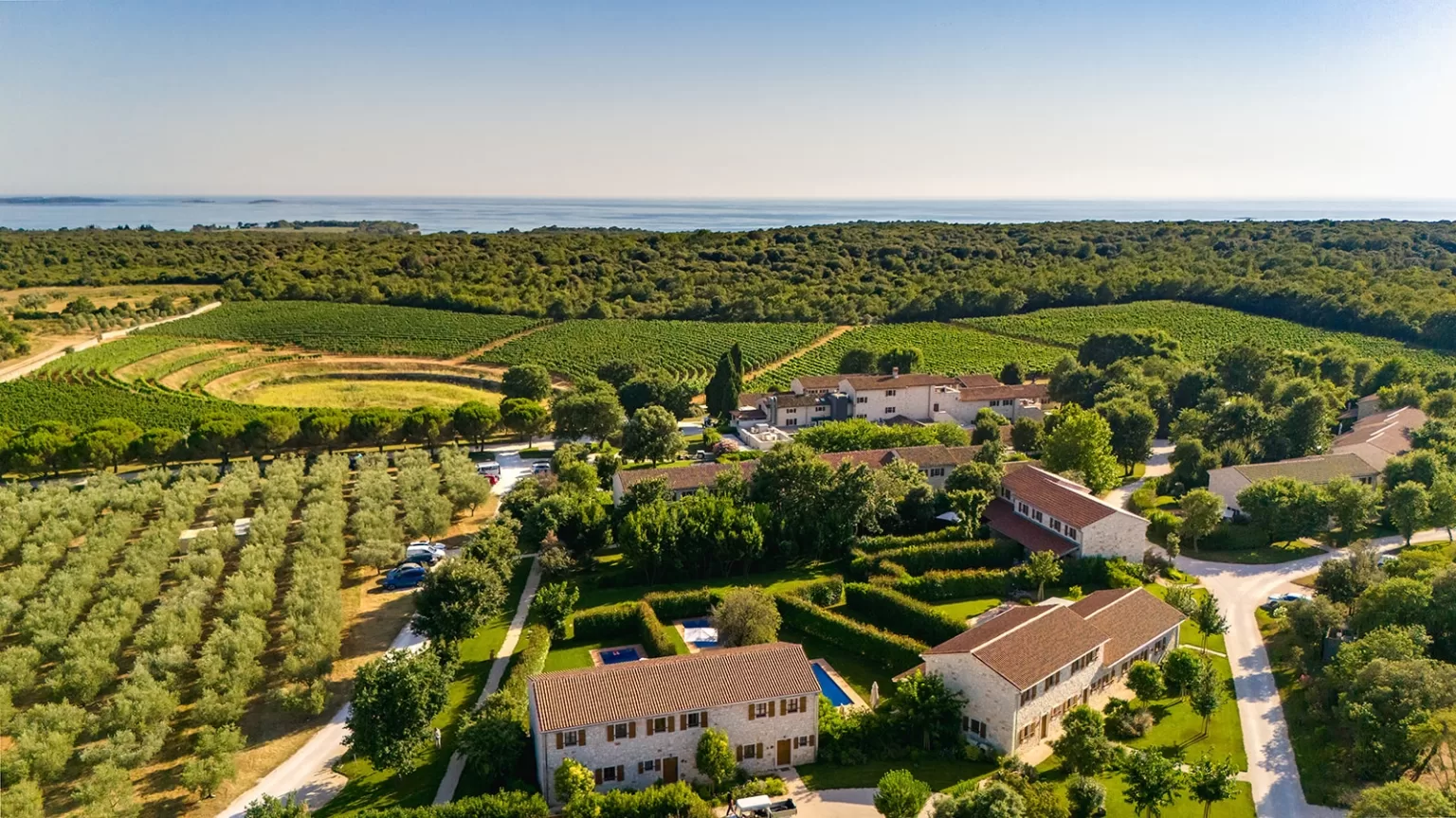 Romantic evening wedding reception at Meneghetti Wine Hotel with string lights and glowing pool.