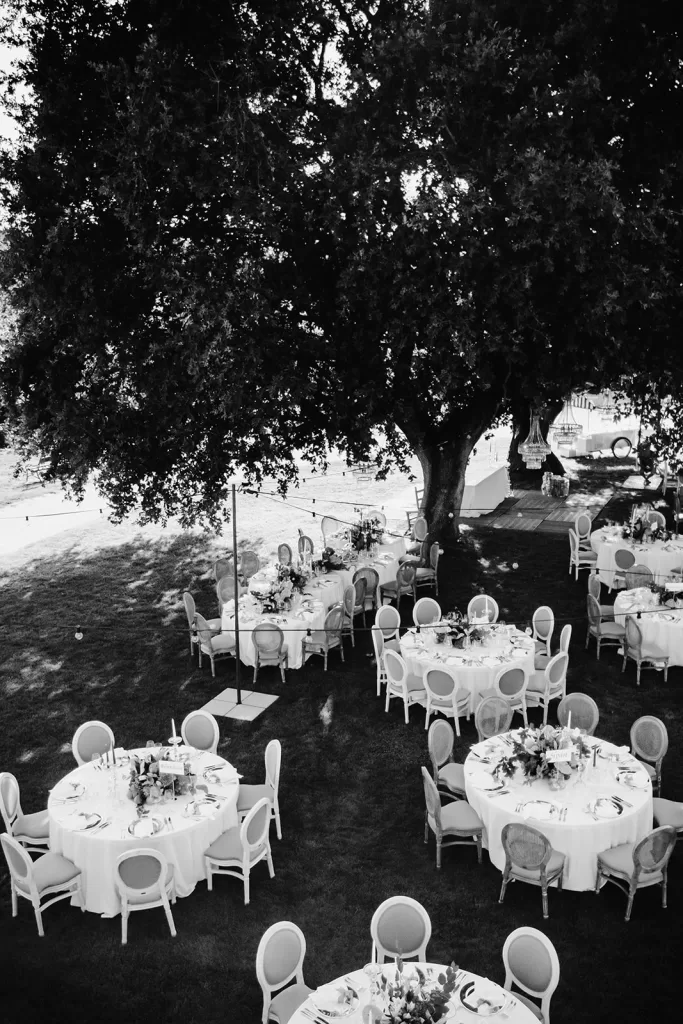 Black and white photo of wedding reception tables under trees, surrounded by Meneghetti’s lush vineyard setting.