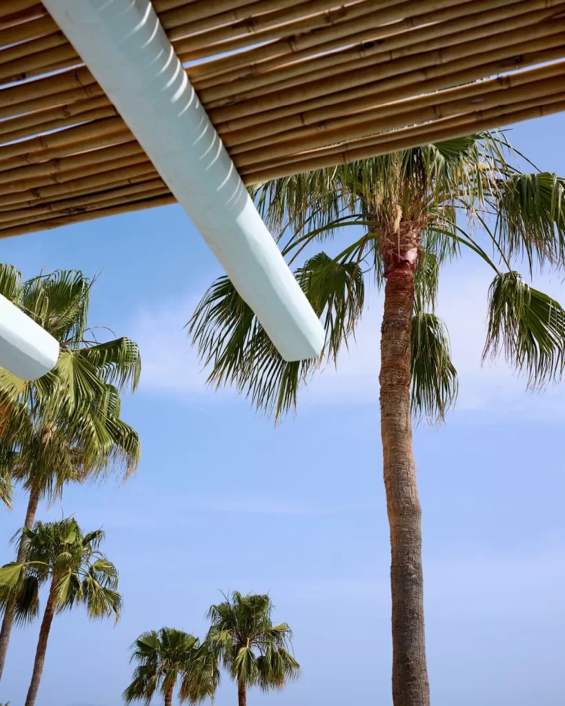 View of swaying palm trees through a bamboo pergola at Mykonos Blu, set against a clear blue sky.