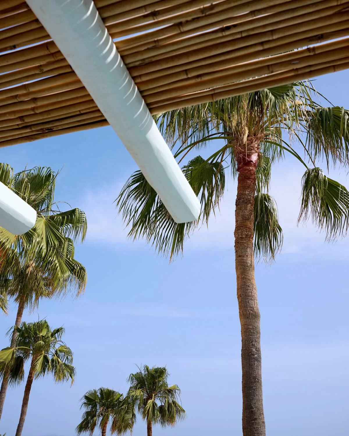 View of swaying palm trees through a bamboo pergola at Mykonos Blu, set against a clear blue sky.