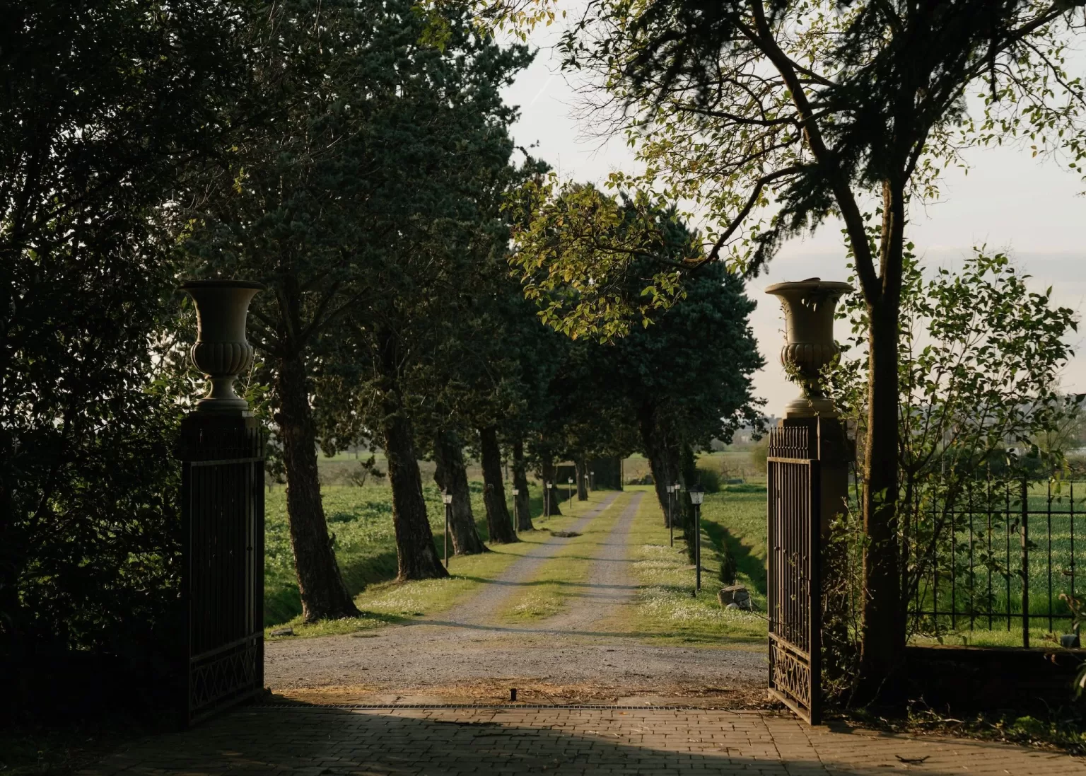 Tree-lined gravel driveway leading to Villa Ivana Cortona, captured in golden hour light.