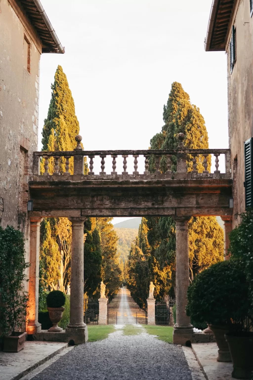 Sunset view of the iconic cypress-lined driveway at Borgo Stomenanno, glowing with golden light.