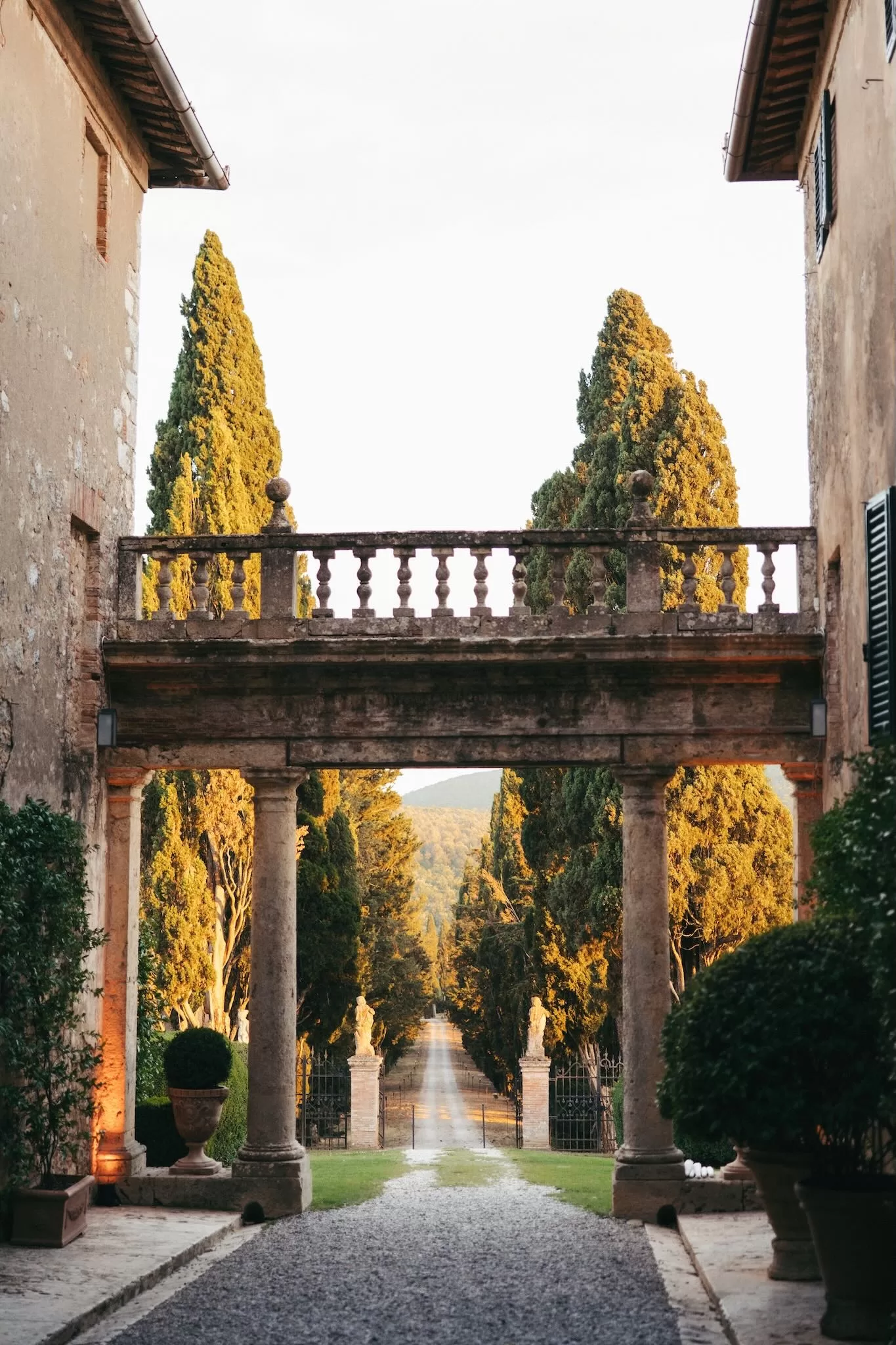 Sunset view of the iconic cypress-lined driveway at Borgo Stomenanno, glowing with golden light.