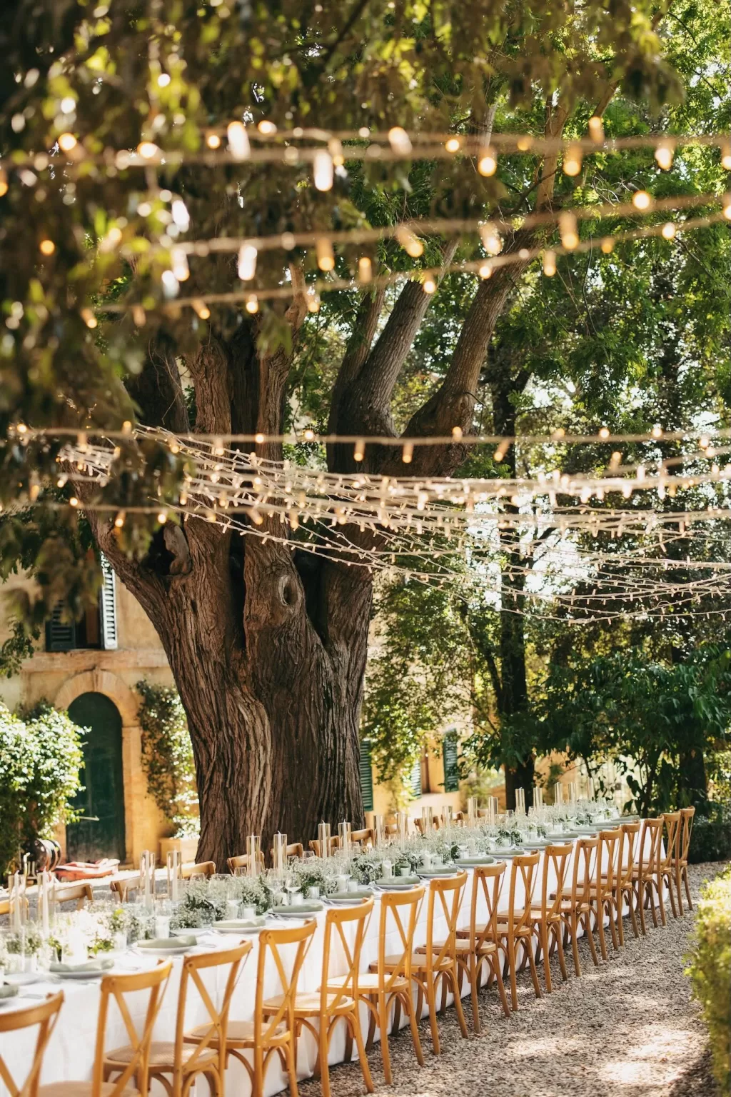 Romantic al fresco dinner setting under string lights and a centuries-old tree at Borgo Stomenanno.