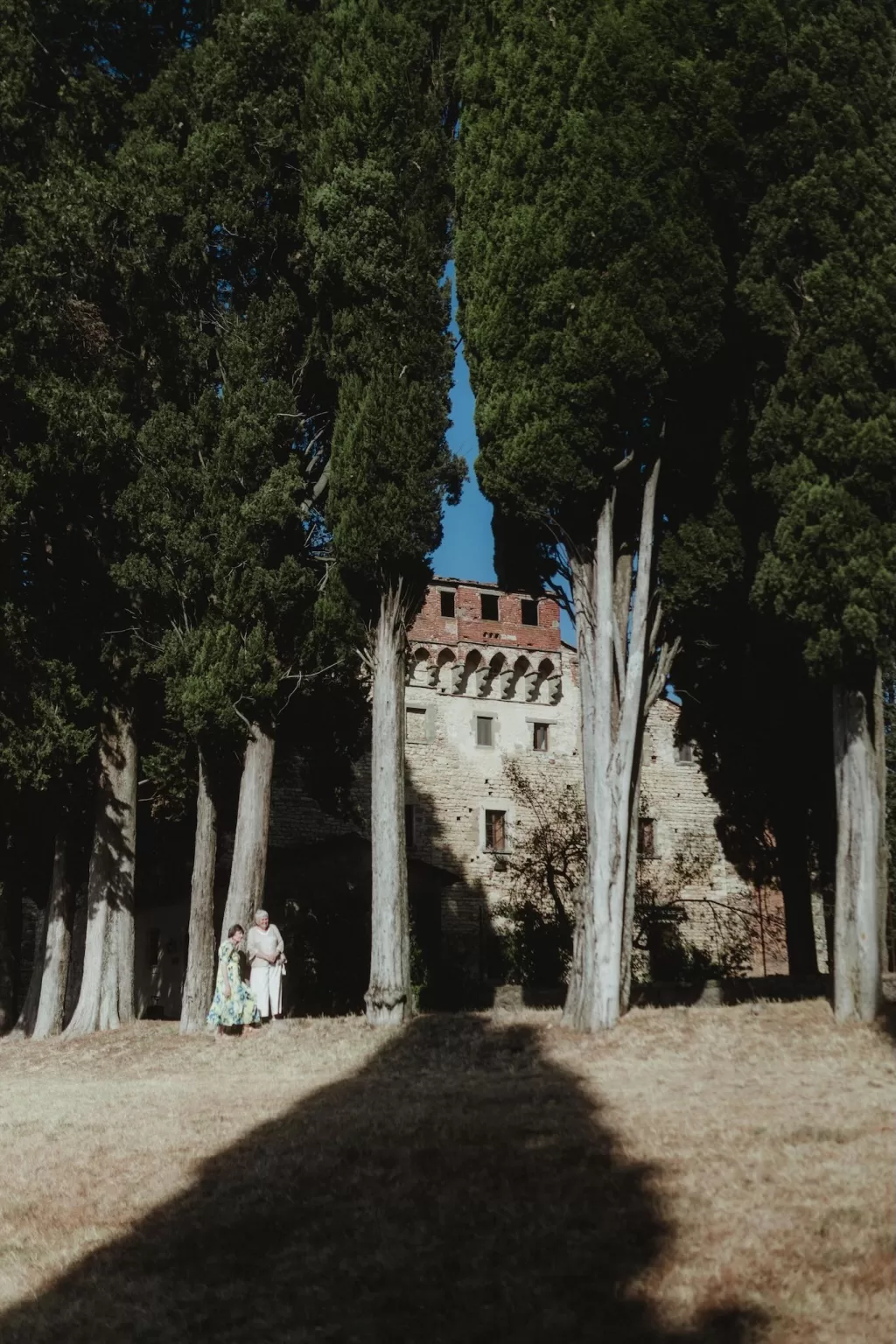 Stone castle partially hidden by tall trees at Castello del Trebbio.