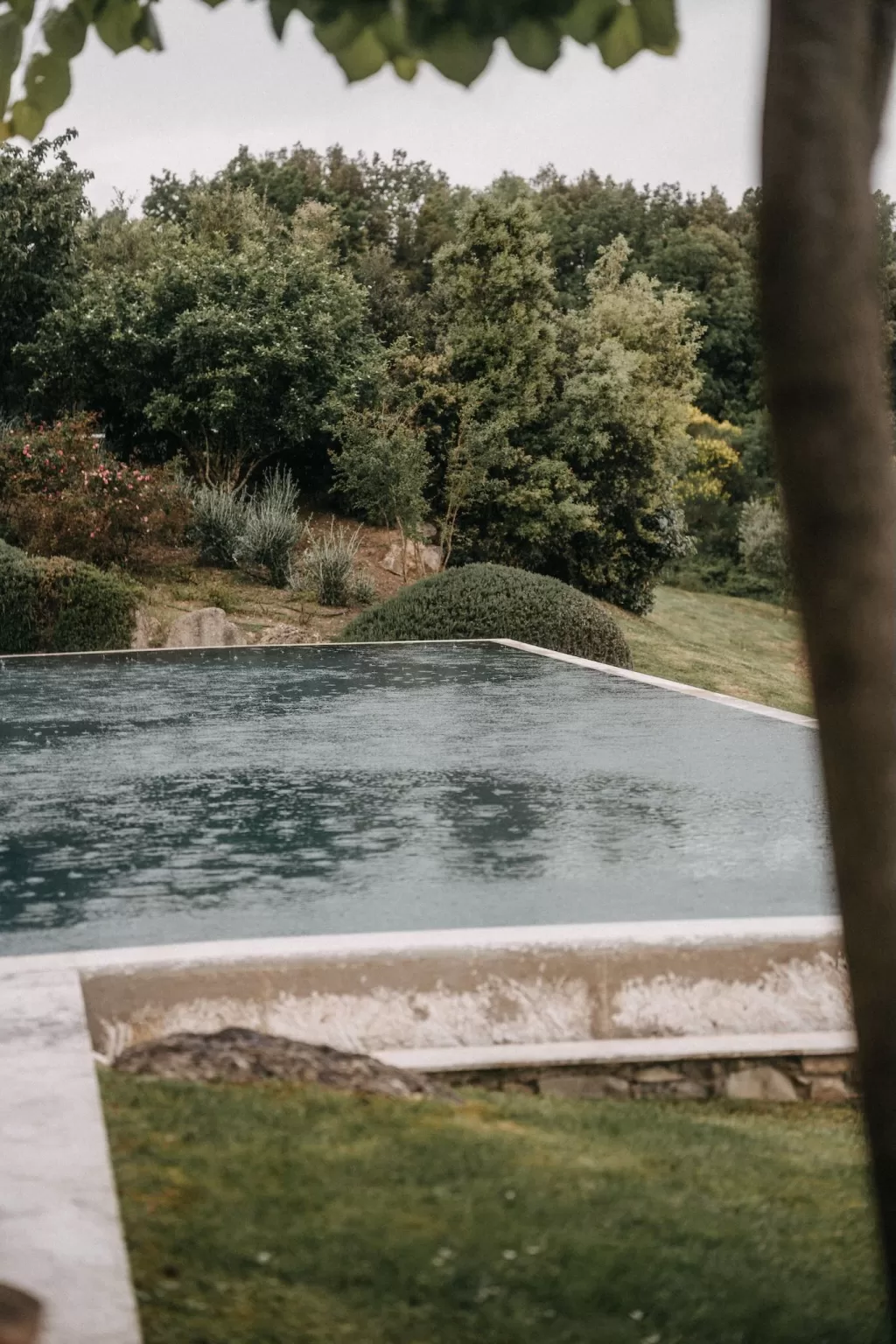 Tranquil infinity pool surrounded by lush greenery on the grounds of Castello di Casole.