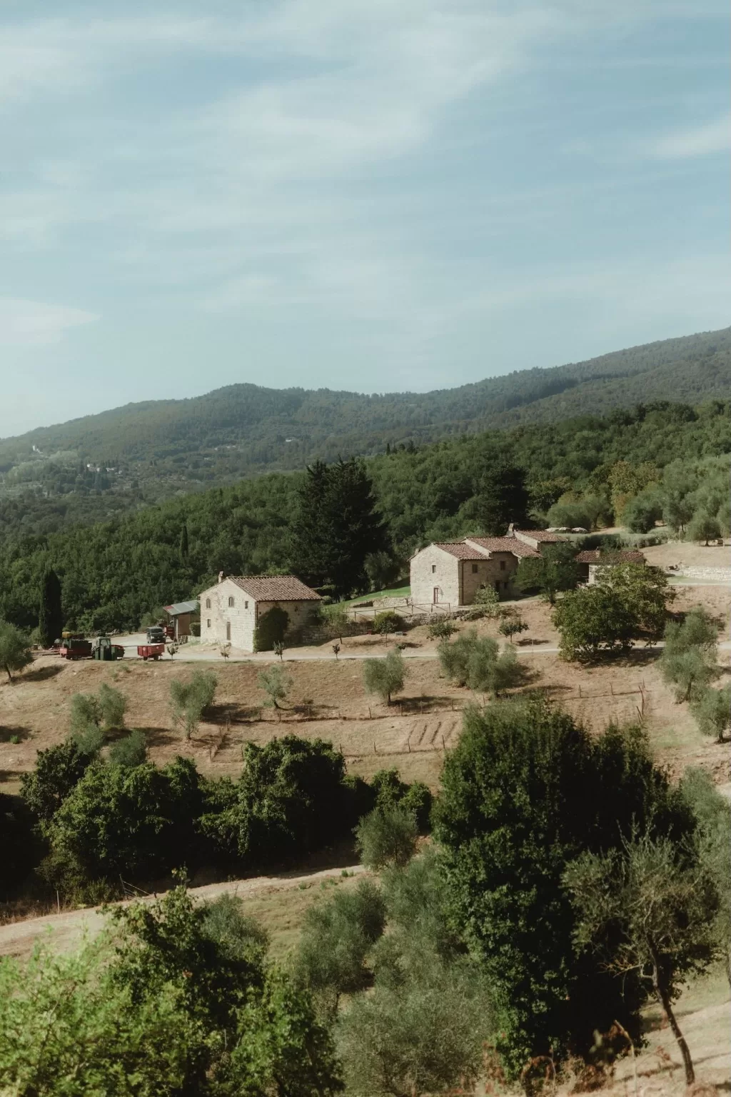 Rolling Tuscan hills and rustic stone houses viewed from Castello del Trebbio.