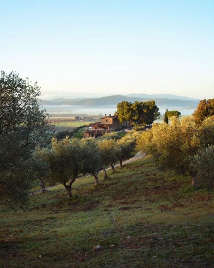 Vineyard view of Conti di San Bonifacio wedding venue in Tuscany