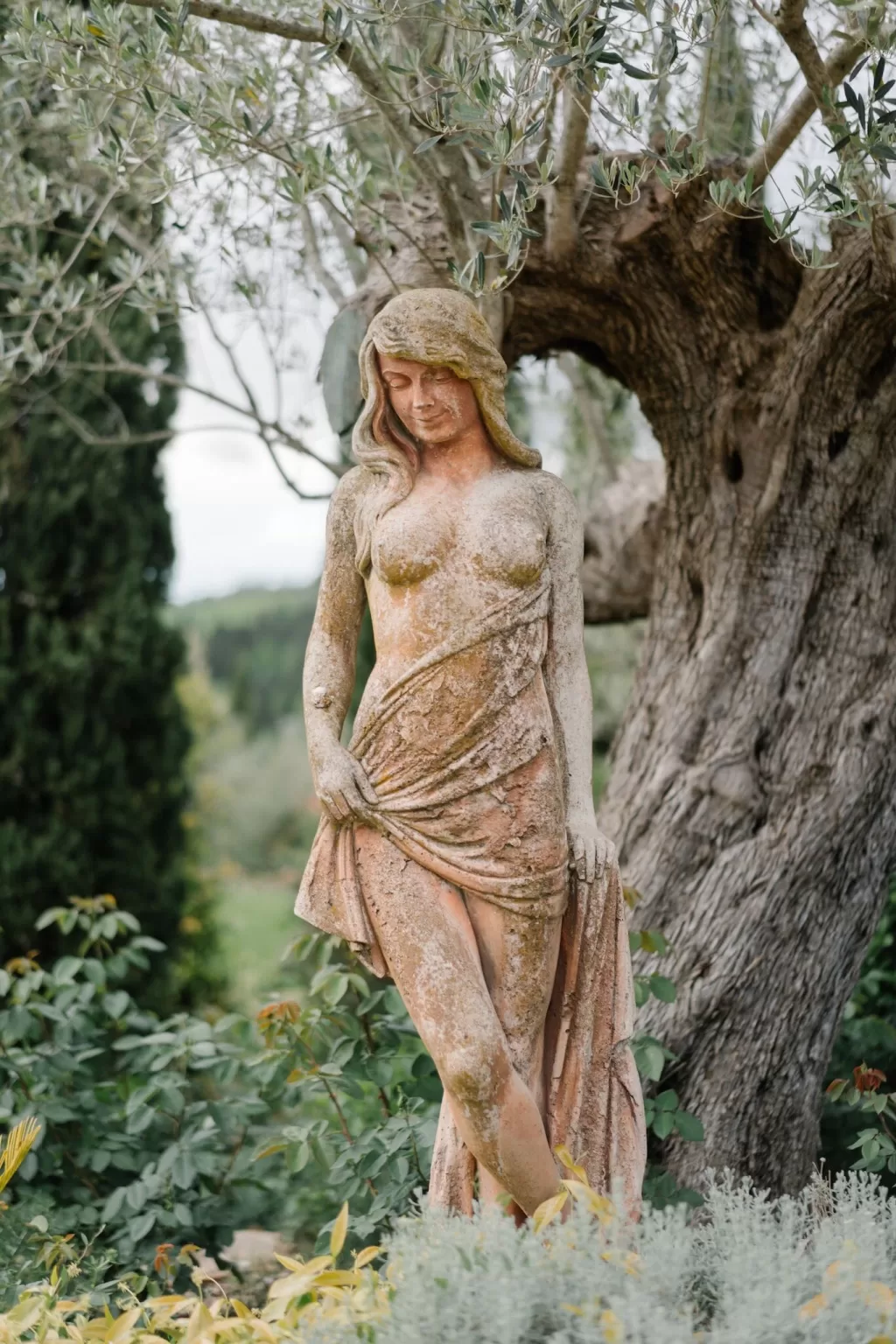 A weathered stone statue of a woman standing beneath an olive tree at Tenuta Corbinaia, adding charm to the Tuscan garden setting.