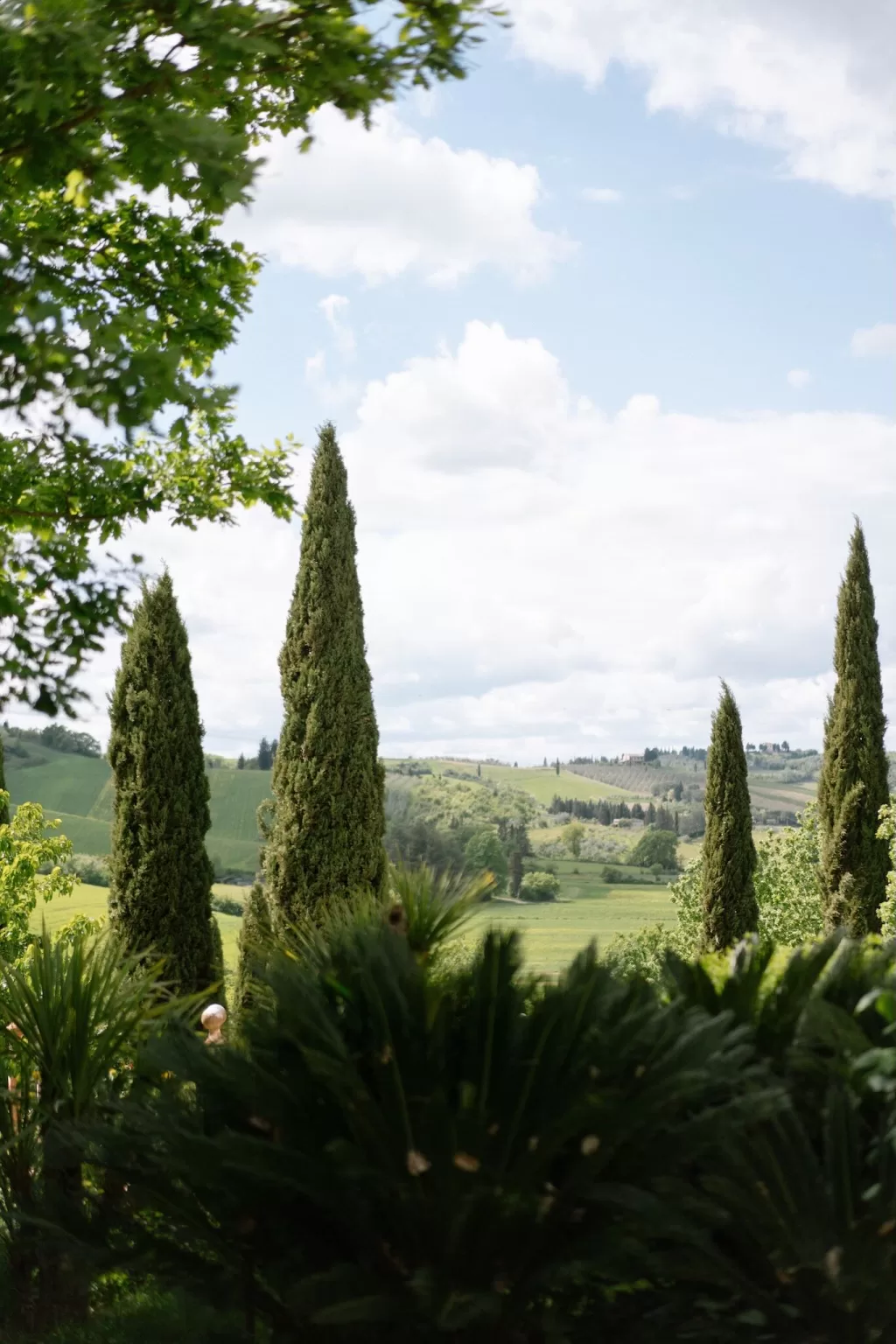 Scenic view of rolling Tuscan hills and tall cypress trees surrounding Tenuta Corbinaia under a bright blue sky.