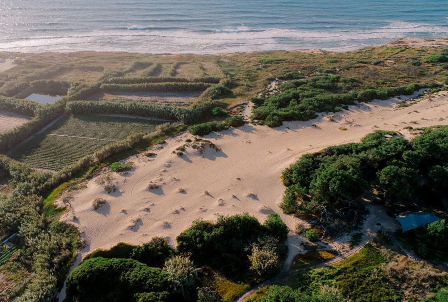 Areias do Seixo’s exterior with a stunning view of the ocean in the background, capturing the venue’s coastal charm.