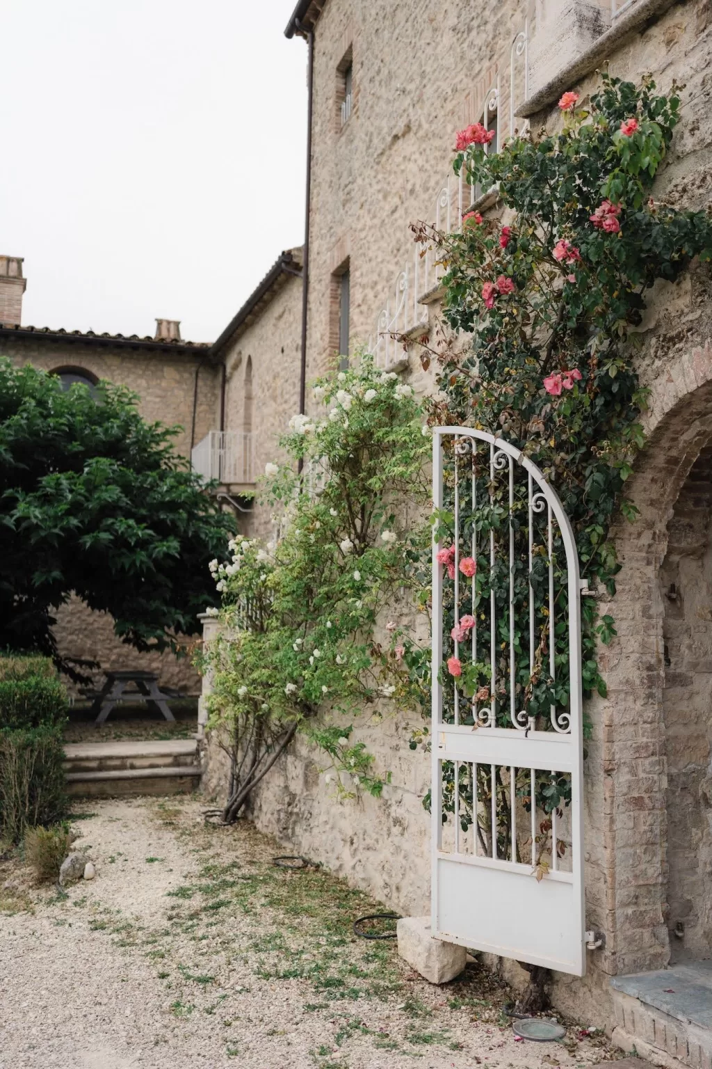 Climbing roses and an open white gate against the stone walls of Castello di Montignano