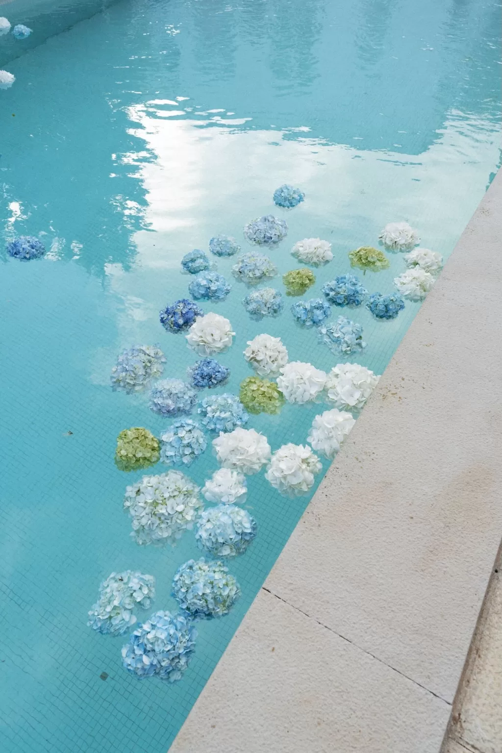 Floating flowers in the pool at Casa Sacoto, adding elegance to the outdoor celebration.