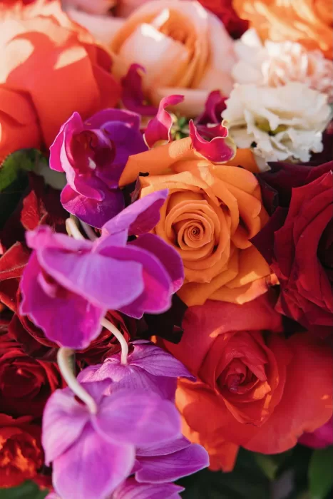 Close-up of lush pink, yellow, and lavender roses used in wedding floral design at Masia Casa del Mar.