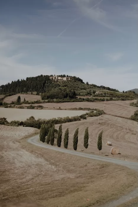 Curved country lane lined with cypress trees leading to Podere Calvaiola