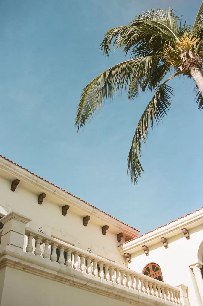 Bright blue sky and palm tree framed against Villa La Joya’s elegant balcony and cream facade.