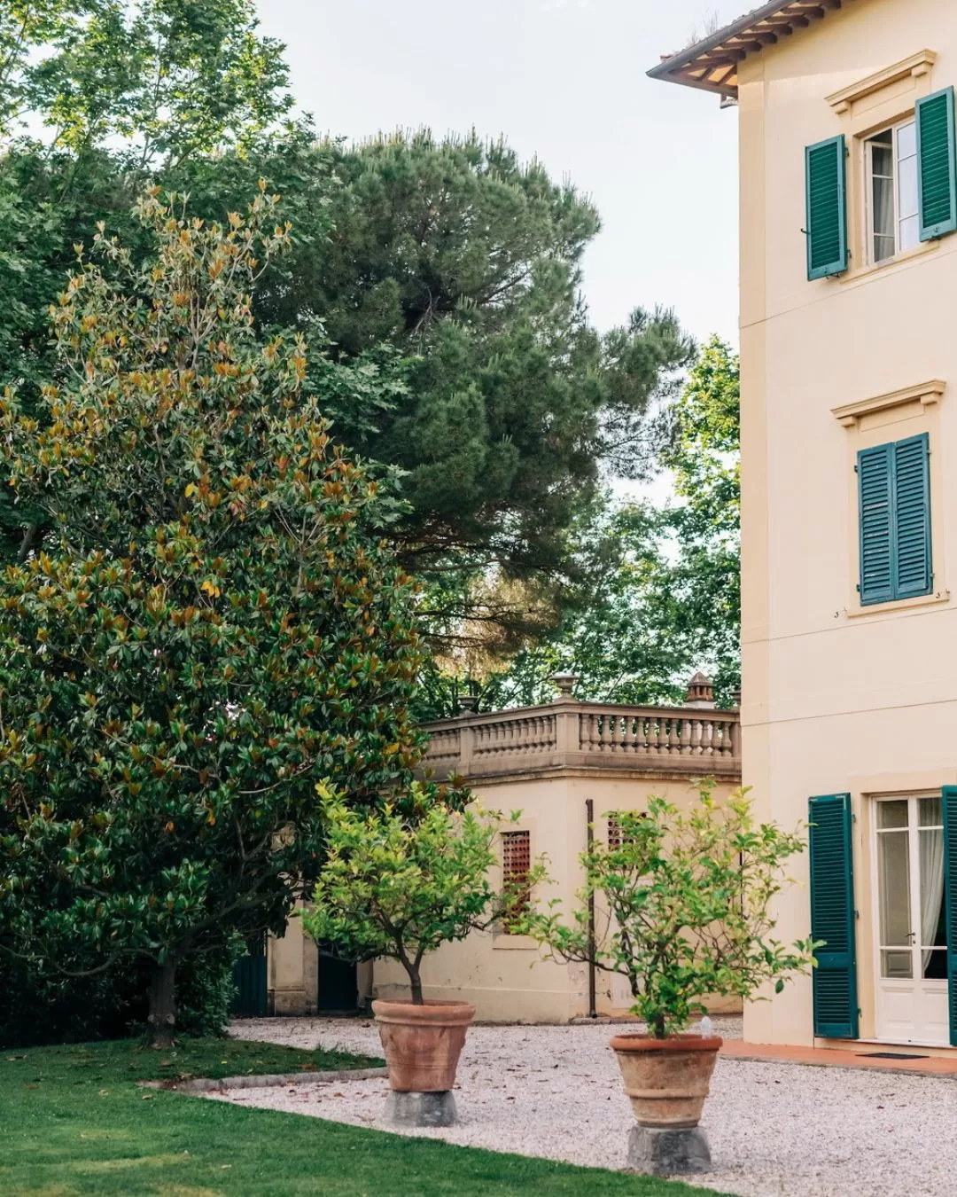 Sunlight hitting the grand stone exterior of Villa Ravano, surrounded by olive trees