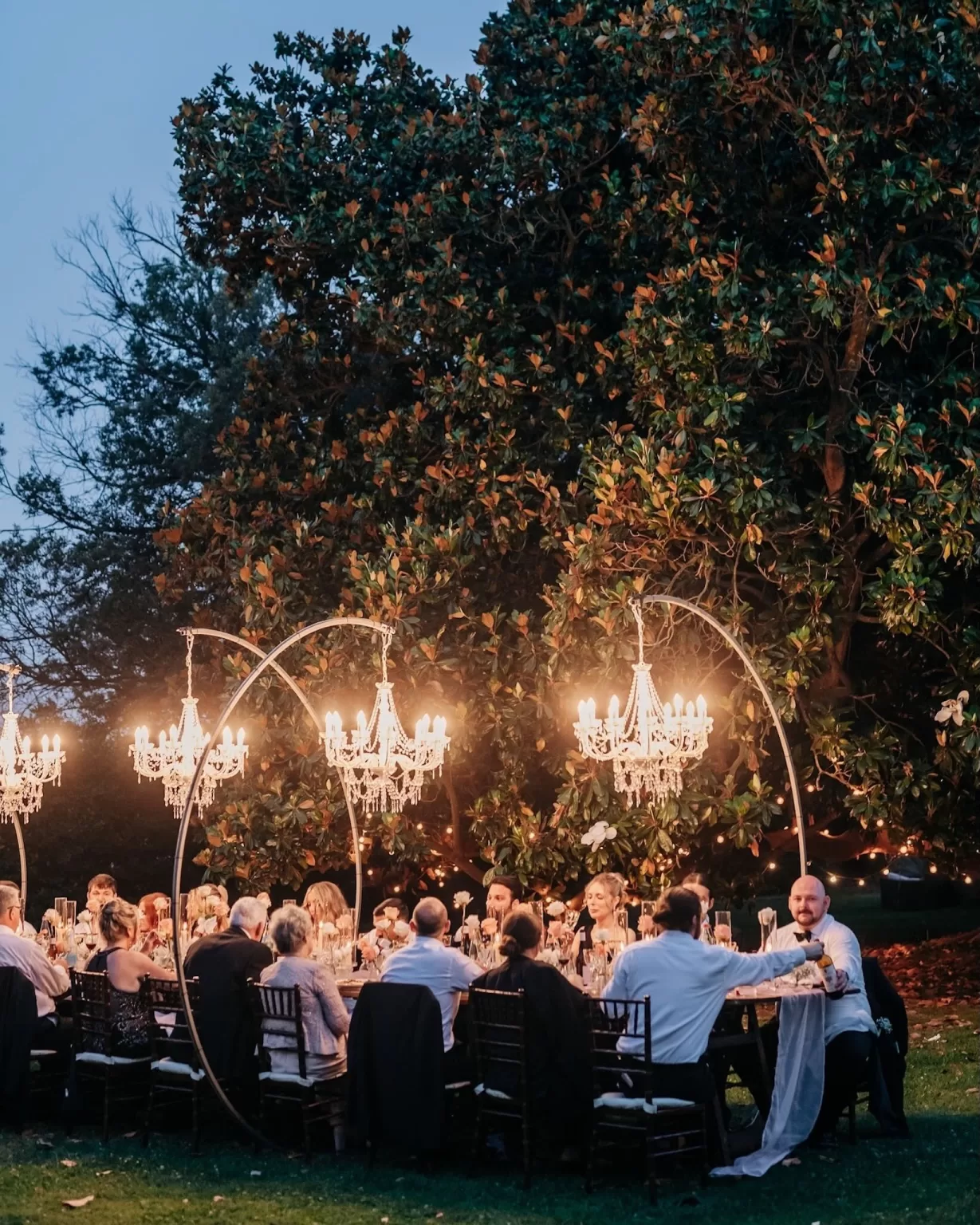 Bride and groom share an intimate moment beneath olive branches at Villa Ravano