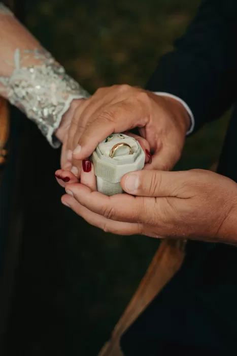 Close-up of hands holding a velvet ring box with gold wedding bands during a ceremony at Hotel Villa Honegg.