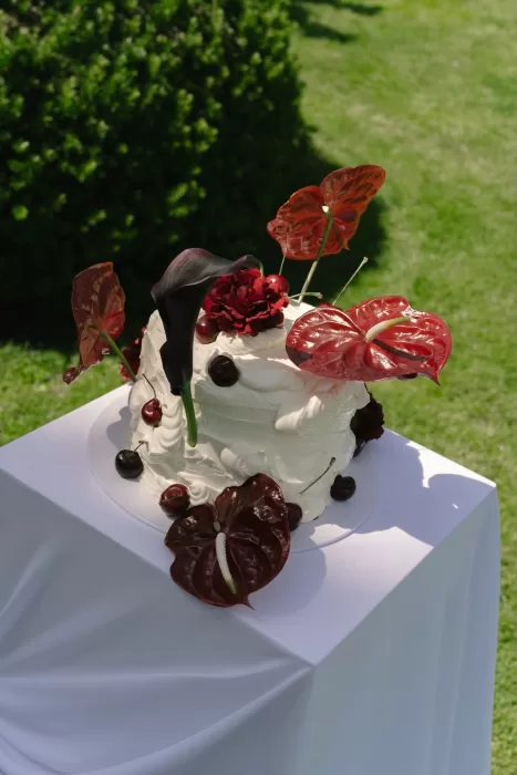 Whipped cream wedding cake topped with cherries and striking red florals at Treelove Parkas.