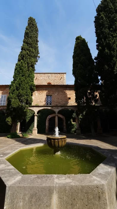 Central fountain in sunlit courtyard surrounded by tall cypress trees at Finca Es Convent