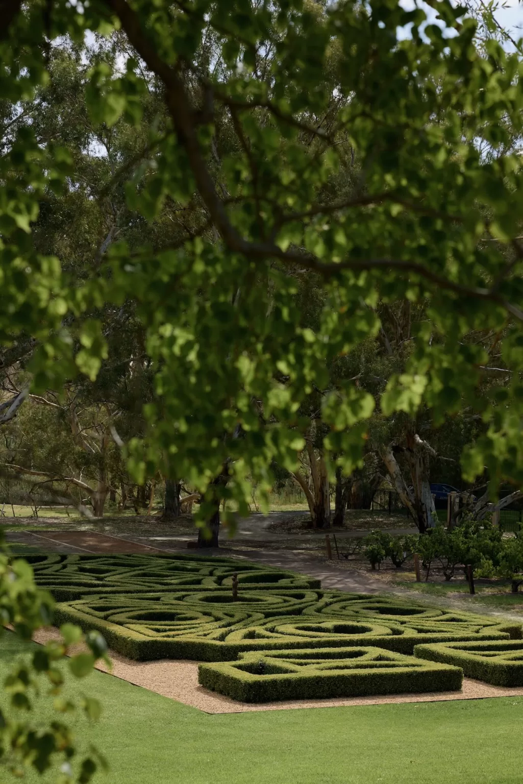 Aerial view of the manicured green maze surrounded by trees at Le Mas Barossa.