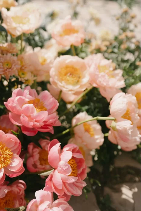 Romantic blush and coral peonies in full bloom during a spring wedding at Masia Cabellut