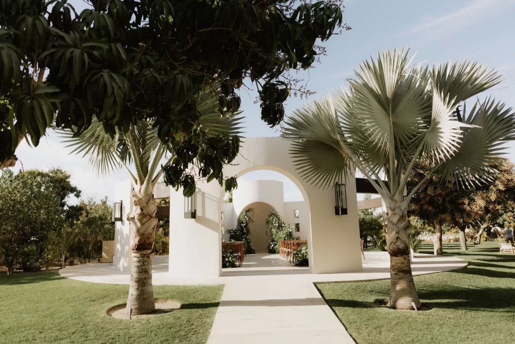 Palm-lined entrance to Baja Luna’s modern white ceremony arch.