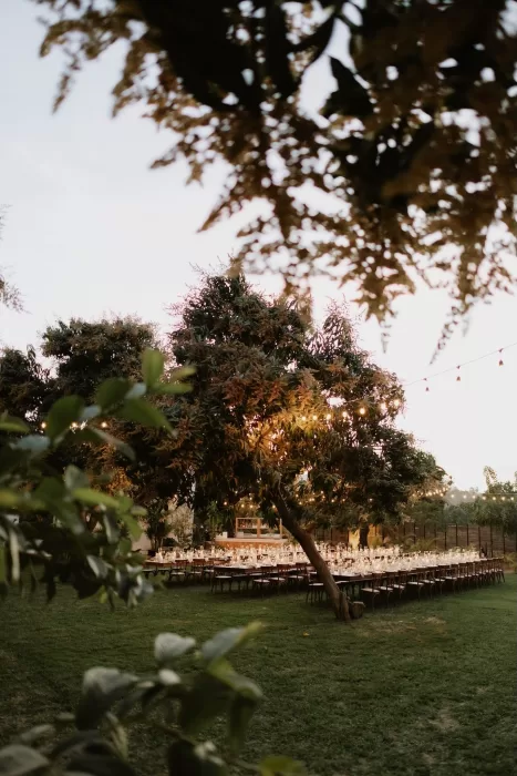 Long banquet tables under string lights in the garden at Baja Luna.