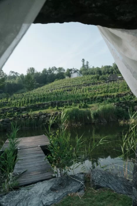 View from behind flowing white fabric toward a wooden dock and terraced vineyard hill at Château Ste. Agnès, evoking rustic serenity.