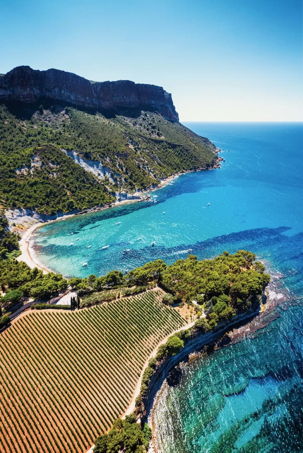 Aerial view of Domaine de Canaille’s coastal vineyard and turquoise waters along the Mediterranean.