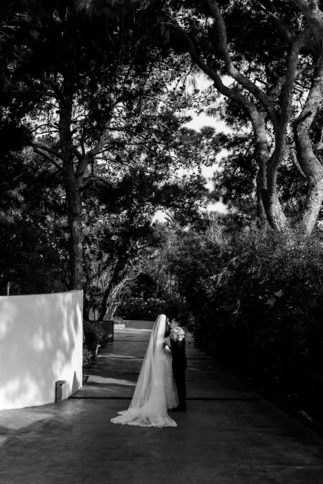 Black and white image of bride and groom kissing under tall trees on a shaded path at Minos Beach Art Hotel.