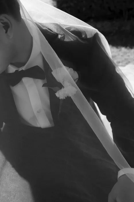 Groom in a tuxedo partially covered by the bride’s flowing veil in soft sunlight.
