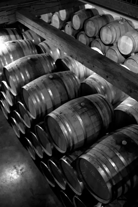 Stacked oak wine barrels inside the cellar at Winery Hans Igler.