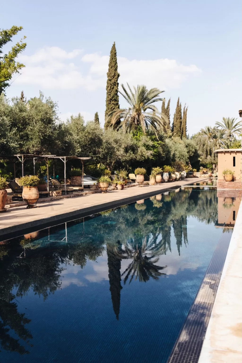 Long outdoor swimming pool lined with olive trees and palms at Beldi Country Club.