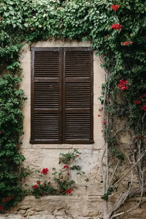 A rustic wooden shutter framed by red flowers and ivy on a stone wall at Finca Son Collell.