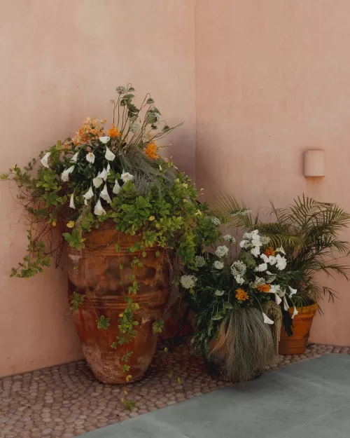Large terracotta vases filled with cascading greenery and white and orange flowers.
