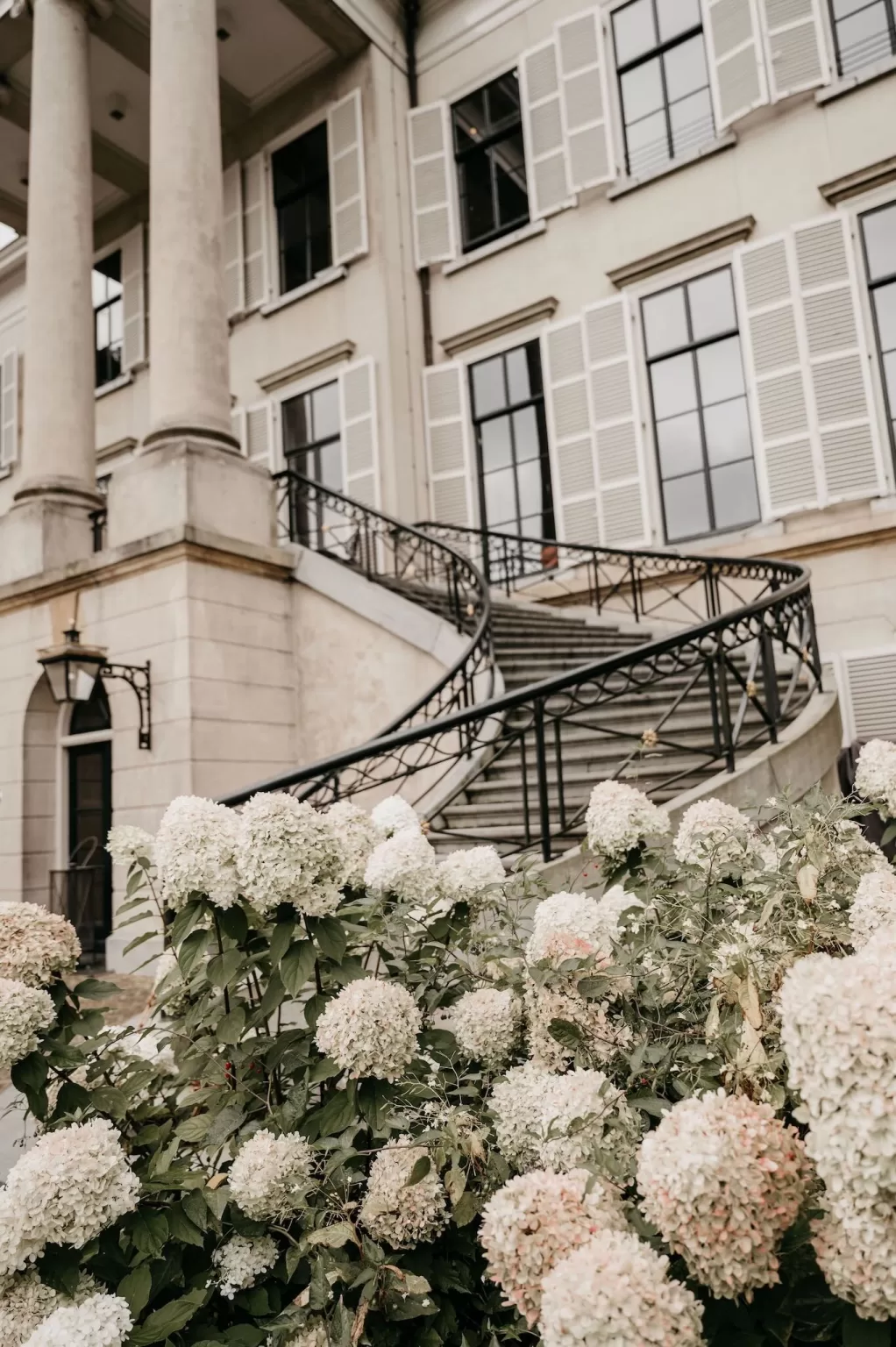 Hydrangeas in full bloom beside the grand staircase of Parc Broekhuizen.