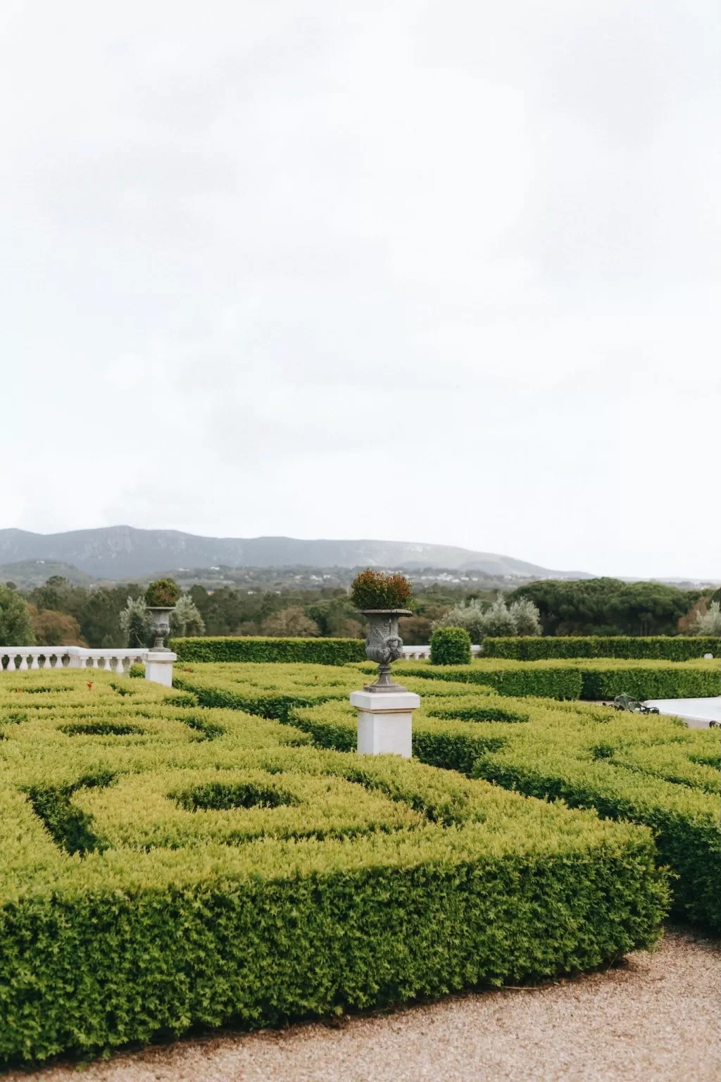 Photo by Júlio Paladino Photography