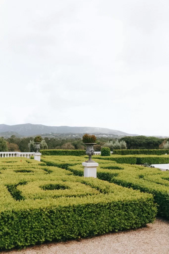 Photo by Júlio Paladino Photography