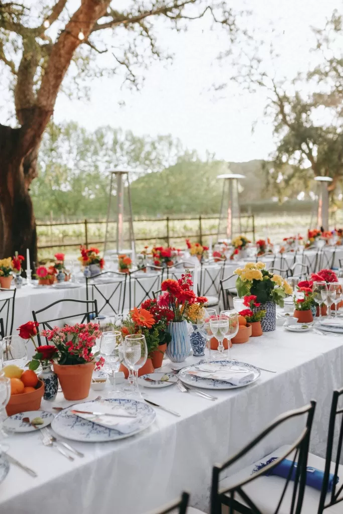 Photo by Júlio Paladino Photography